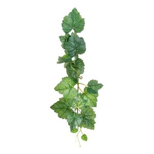 Rama Colgante Serina | Verde