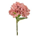 Flor-Hortensia-Mamey-H-Milania