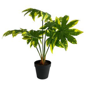 Planta con Pote| Verde