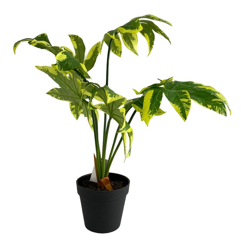 420-594821_1