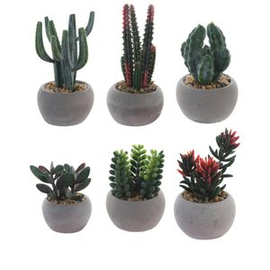 Planta con Pote 6 | Multicolor