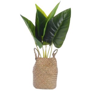 Planta Artificial | Verde