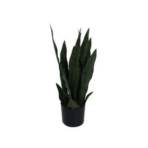 Planta con Pote| Verde