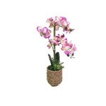 MARCO-WEB-BOSQUE-DECOR-12
