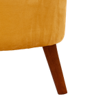 _DSF0113