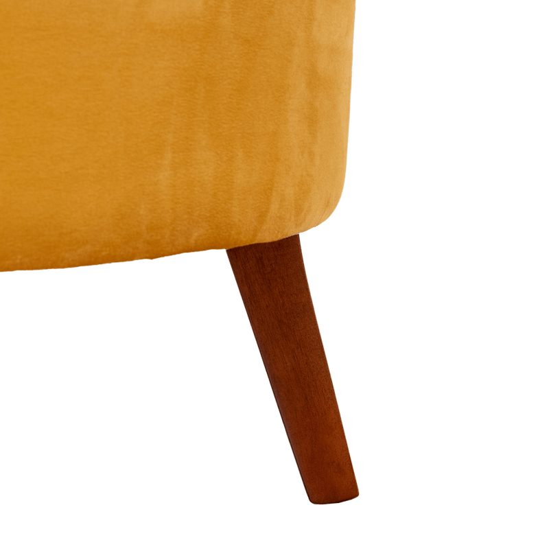 _DSF0113