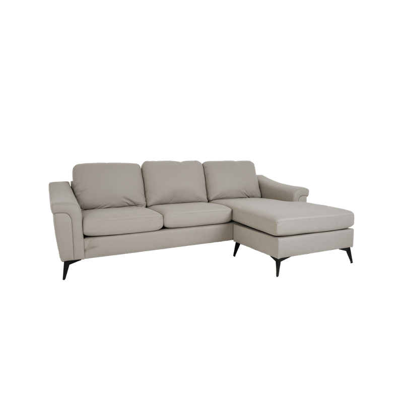 _DSF4113.png