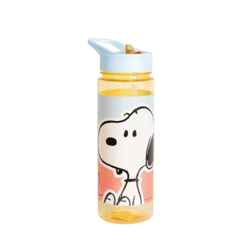 Botella-650ml.png