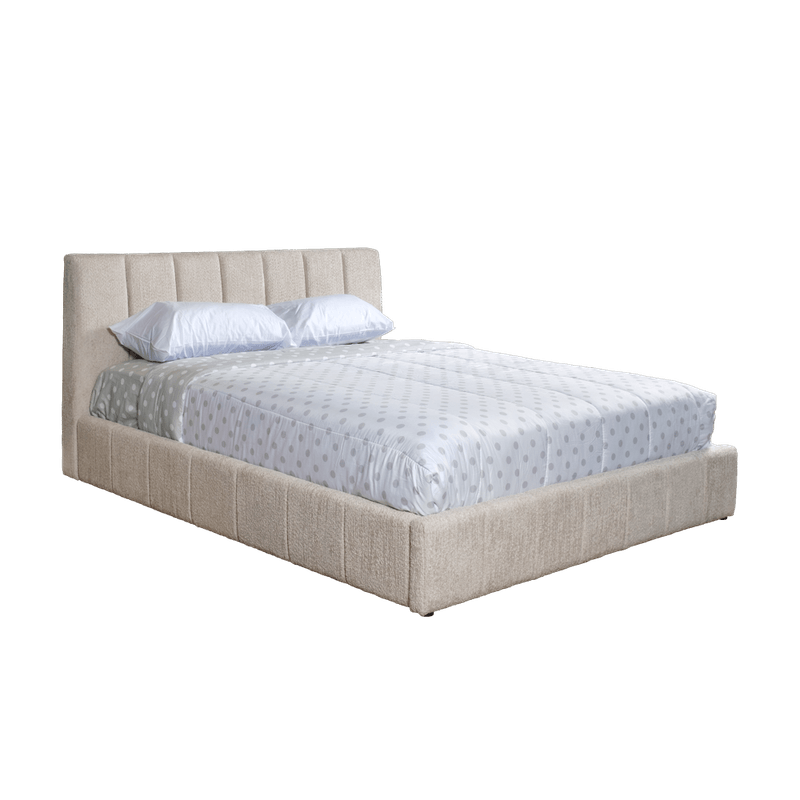 _DSF5567.png