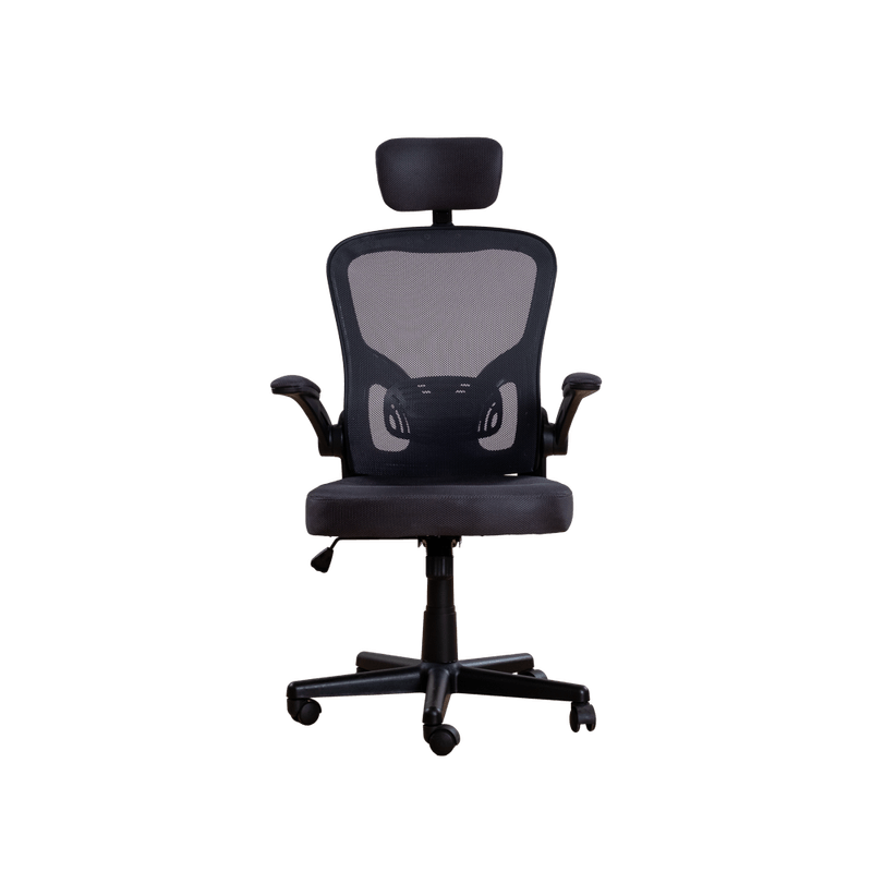 _DSF0039.png