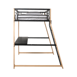 _DSF9540.png