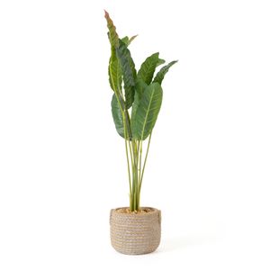 Mini Planta Artificial Strelitzia Con Macetero | Verde