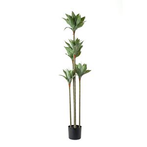 Planta con Pote | Verde