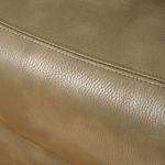 _DSF0869