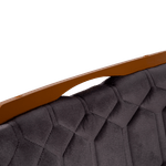 _DSF8529-Editar.png