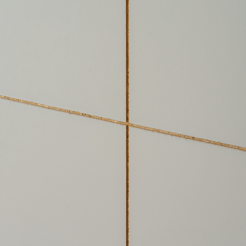 _DSF7041