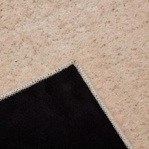 Alfombra Plush Liso Nude  200x250 | Nude