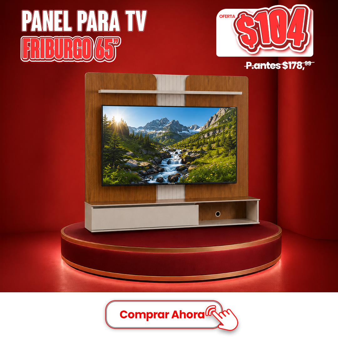 TV FRIBURGO 65